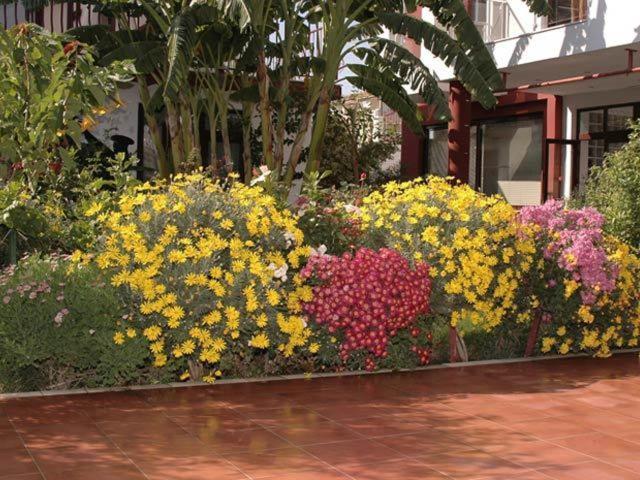 Side Elis Hotel Bagian luar foto